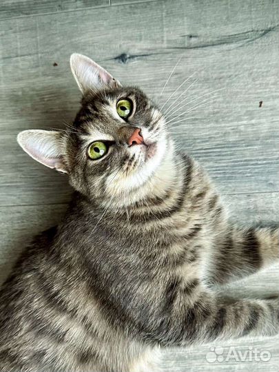 Европейская