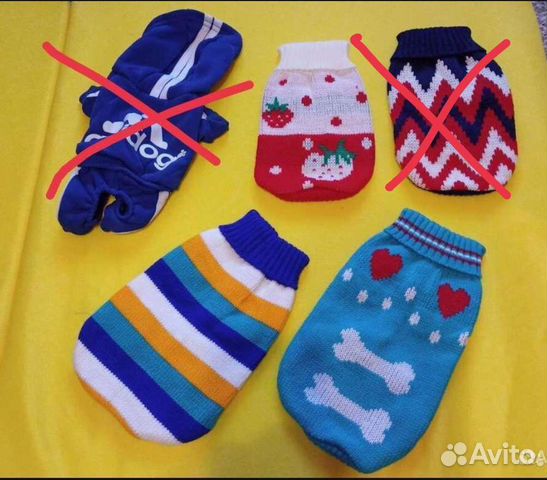 Одежда и Обувь для собак