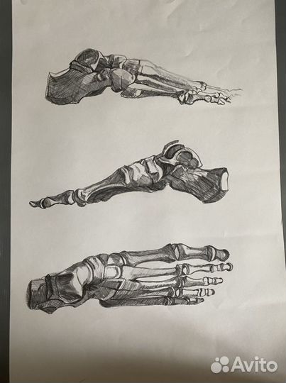 Рисунок для студентов