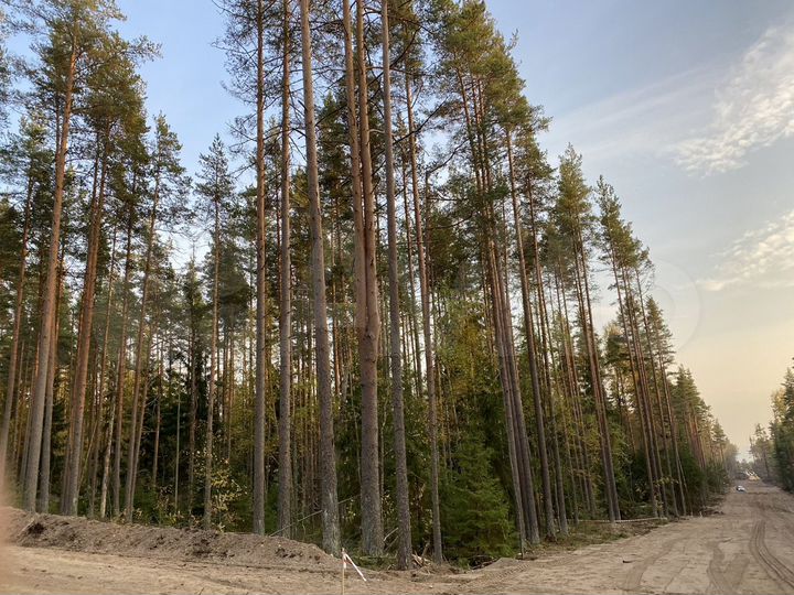 Участок 18,2 сот. (ИЖС)