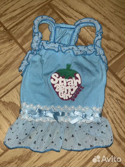 Одежда для собак мелких пород пакетом