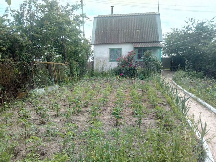 Дача 42,5 м² на участке 4,6 сот.