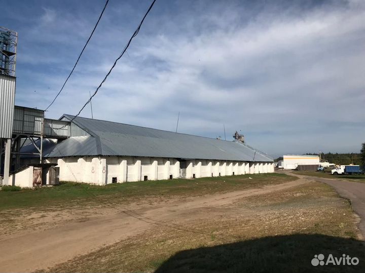 Хпп (элеватор напольного хранения) 8 складов