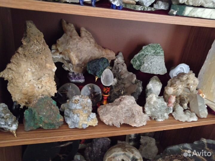 Минералы. Окаменелости. Жеоды. Септарии. Аммониты