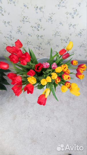 Тюльпаны к 8 марта оптом новосибирск