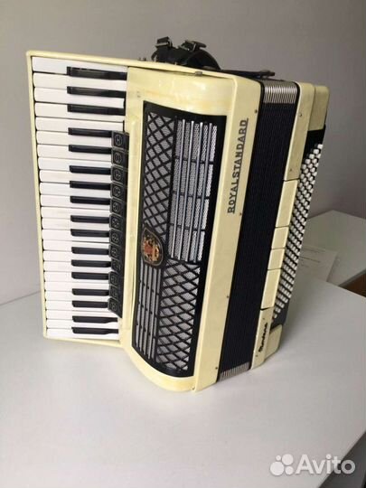 Красавец альбинос, истинный немец,размер 4/4