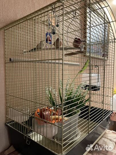 Клетка для птиц