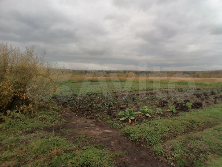 Участок 100 сот. (СНТ, ДНП)