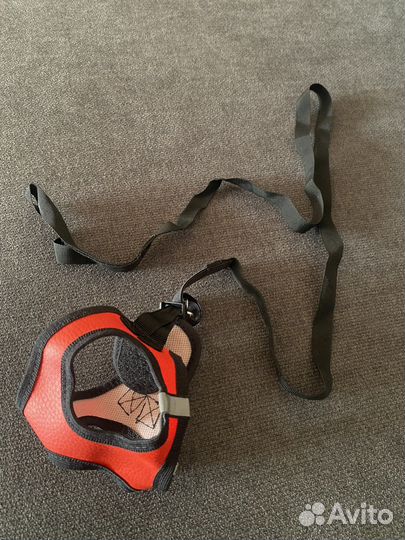 Шлейка с поводком для маленьких собак