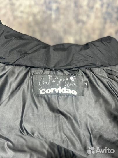 Пуховик Corvidae down jacket puffer