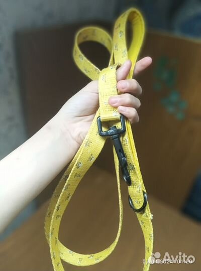 Комплект амуниции для собак