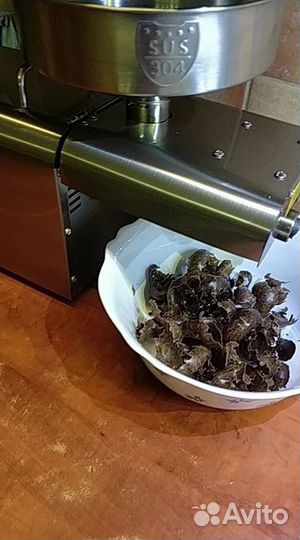 Пресс для холодного отжима масла электрический