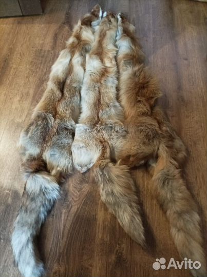 Лисья шкура