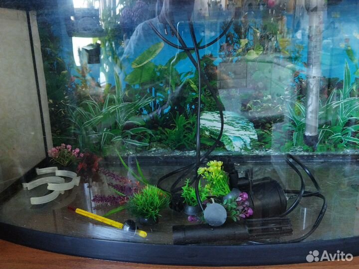 Аквариум