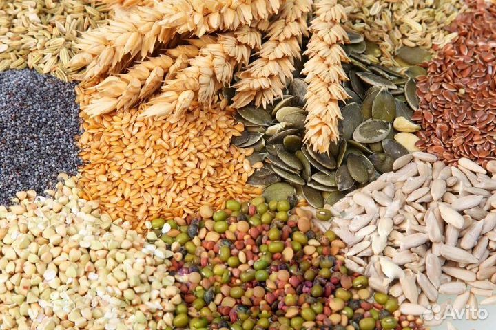 Комбикорма с полезными злаками для животных и птиц