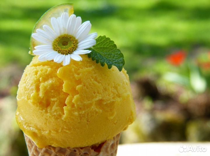 Твоя возможность создать бизнес с изюминкой