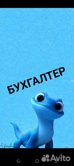 Бухгалтер (г.Набережные Челны)