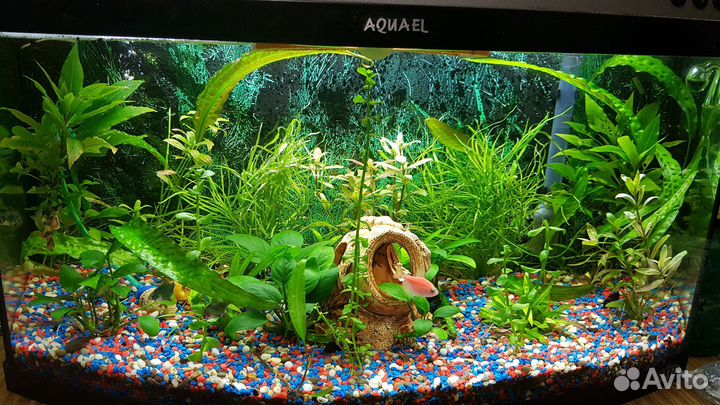 Аквариум
