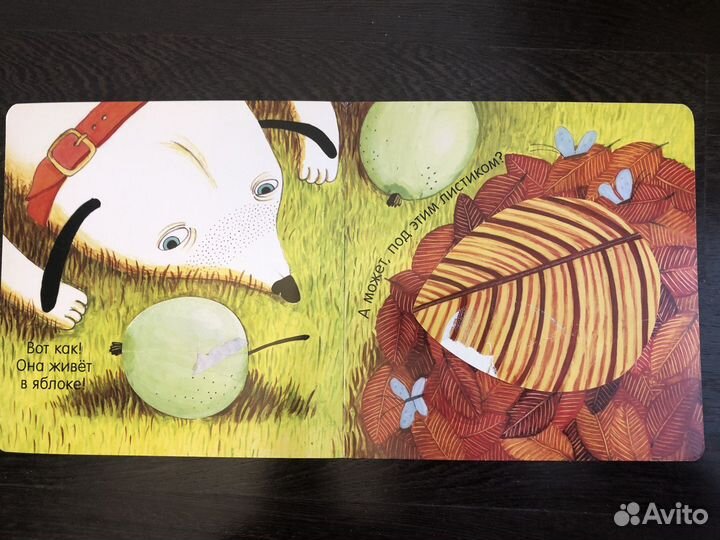 Где живет птичка