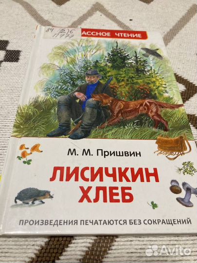 Книги внеклассное чтение