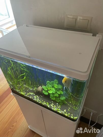 Аквариум с тумбой