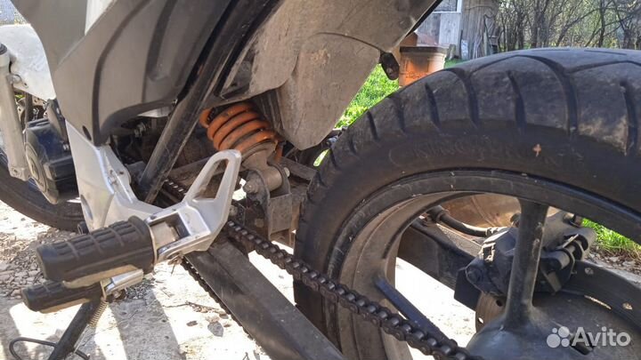 Stels Flex 250