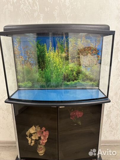 Аквариум с тумбой панорамный 100 л