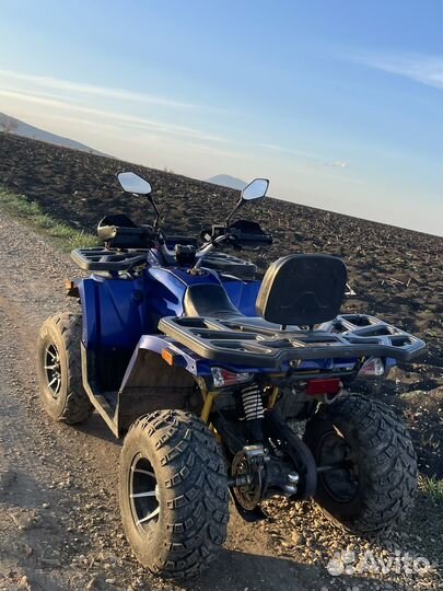 Квадроцикл motoland wild track x pro 300