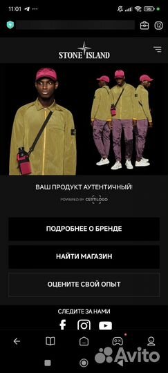 Stone island свитшот