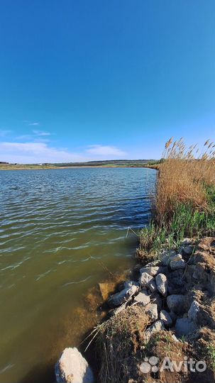Земельный участок с озером