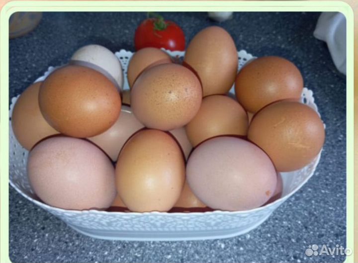 Домашние куриные яйца