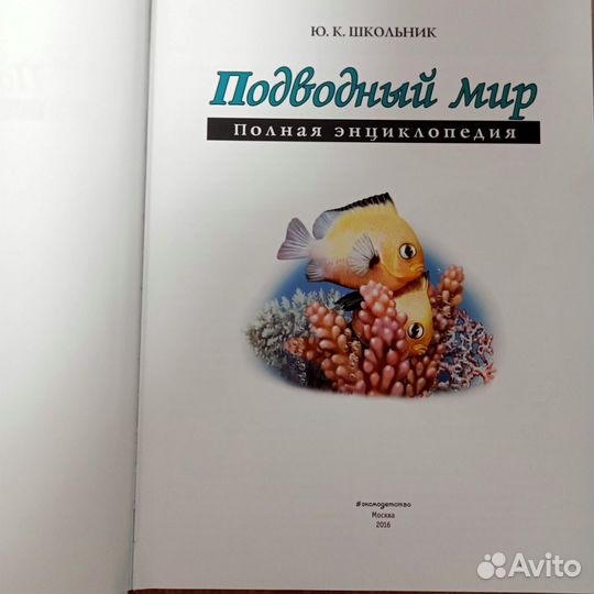 Детские книги новые