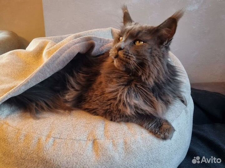 Лежанка-карман новая 60 см