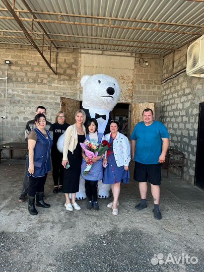 Чебурашка поздравление и белый мишка