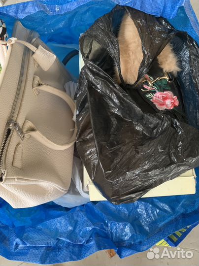 Женские сумочки и обувь