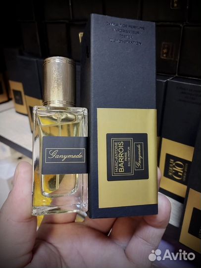 Marc antoine barrois ganymede