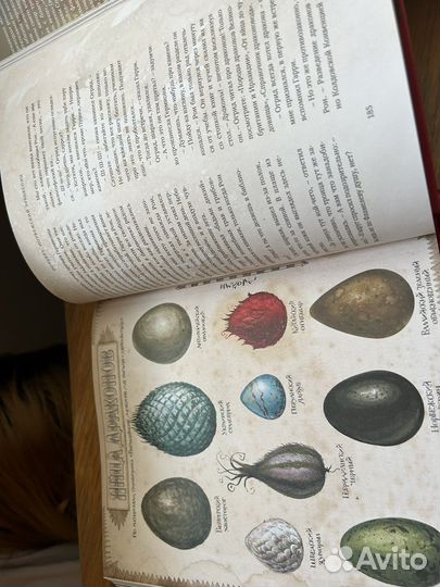 Книги гарри поттер и филосовский камень росмэн