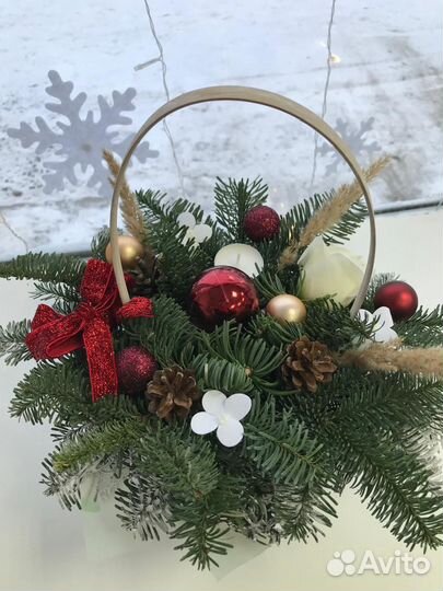 Новогодняя композиция из ели с нобилисом