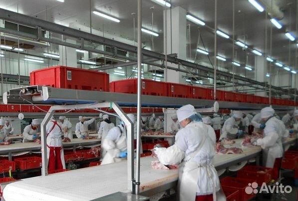 Упаковщик с ежедневной оплатой труда