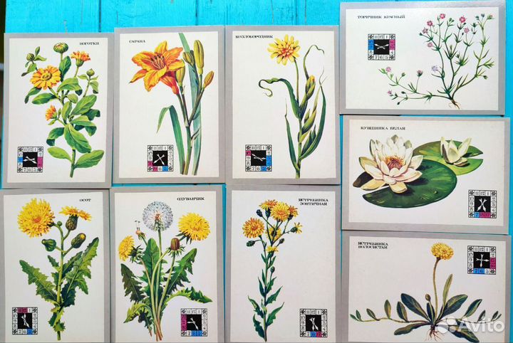 Открытки ботанические цветы, растения