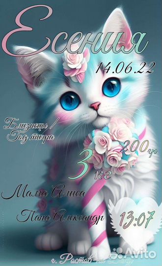 Детская Метрика