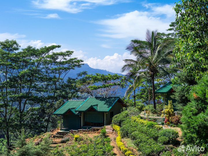 Тур на Sri-Lanka на 7 ночей за двоих чел