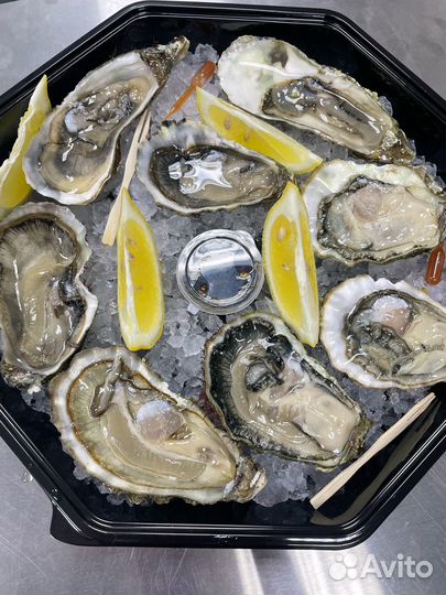 Сет из Устриц