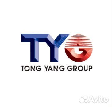 TYG HN20028A Капот hyundai: santa FE 07-12