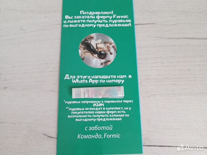 Муравьиная ферма