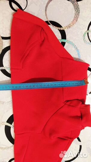 Одежда для собак