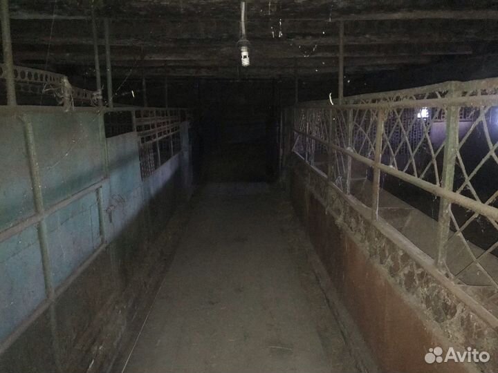 Животноводческая ферма