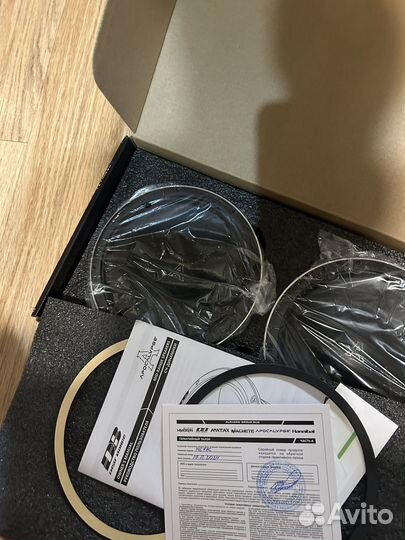 Динамики арнольды