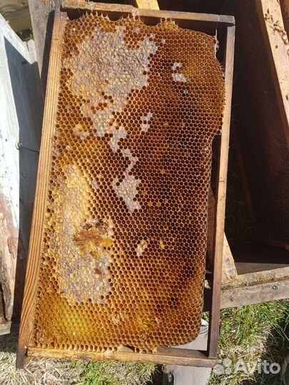 Ульи для пчел бу