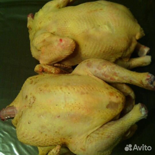 Куры бройлеры тушки мясо